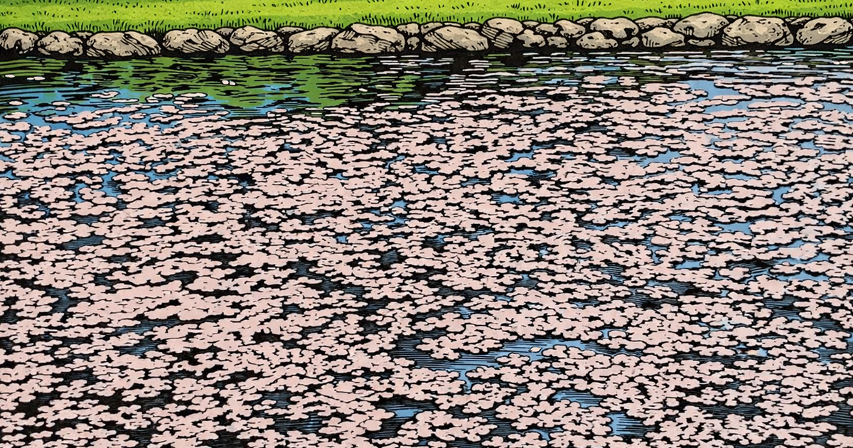 Cmonchan lying by the river watching cherry blossom petals drift on the current